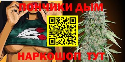 сатива Будённовск