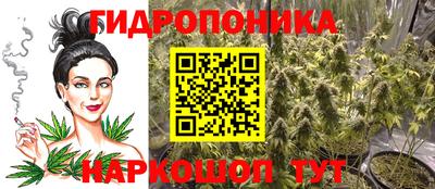 сатива Будённовск