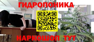 apvp Ликино-Дулёво