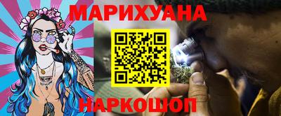 сатива Будённовск
