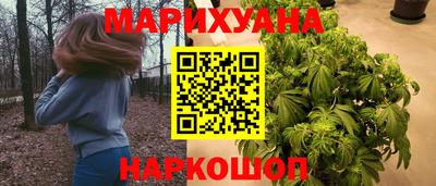 сатива Будённовск