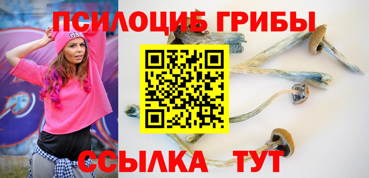 Галлюциногенные грибы прущие грибы Усолье-Сибирское