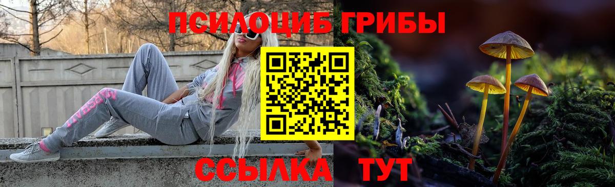 Усолье-Сибирское  Псилоцибиновые грибы Psilocybe  где можно купить   Вход с VPN 